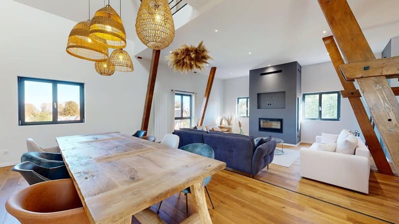 Außergewöhnliche Immobilie – 239 m², 15 Minuten von Basel entfernt (17)