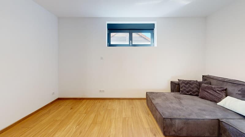 Außergewöhnliche Immobilie – 239 m², 15 Minuten von Basel entfernt (26)