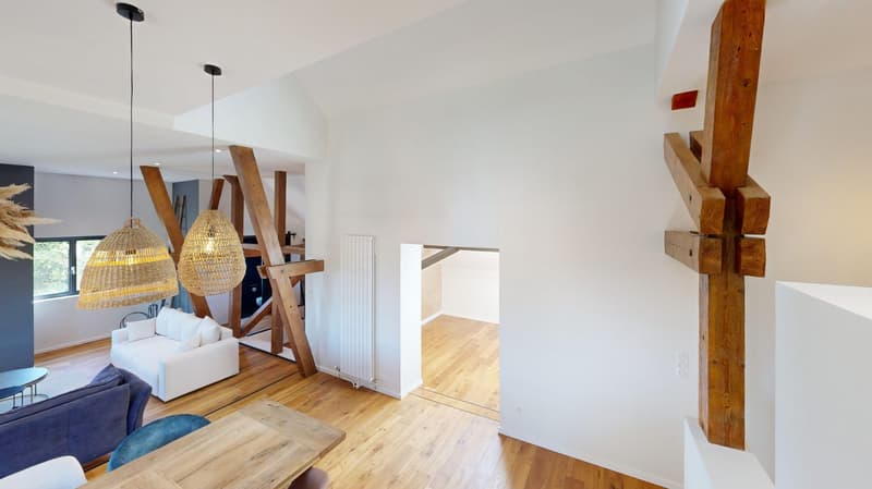 Außergewöhnliche Immobilie – 239 m², 15 Minuten von Basel entfernt (3)