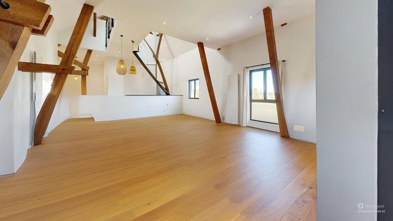 Außergewöhnliche Immobilie – 239 m², 15 Minuten von Basel entfernt (43)