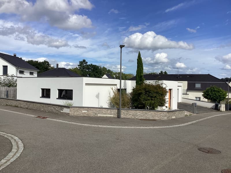 Außergewöhnliches Anwesen in Hagenthal-le-Haut (2)