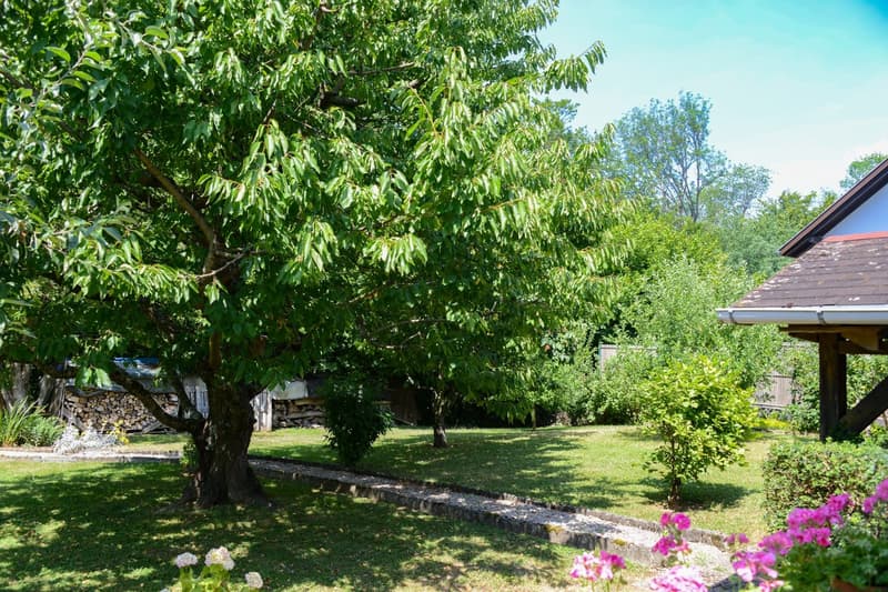 Folgensbourg – Freistehendes Einfamilienhaus mit großem Grundstück und privatem Wald (4)
