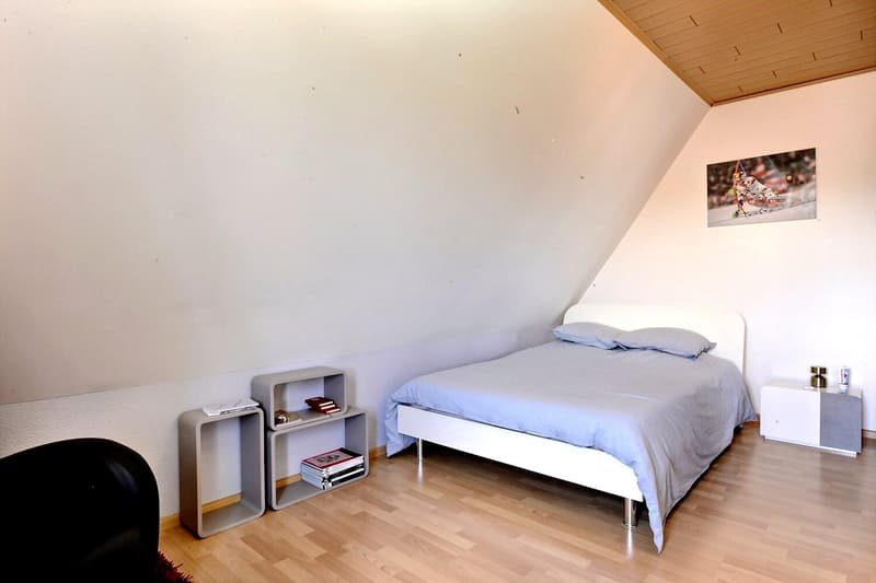 7-Zimmer-Einfamilienhaus mit Pool in Feldbach (11)