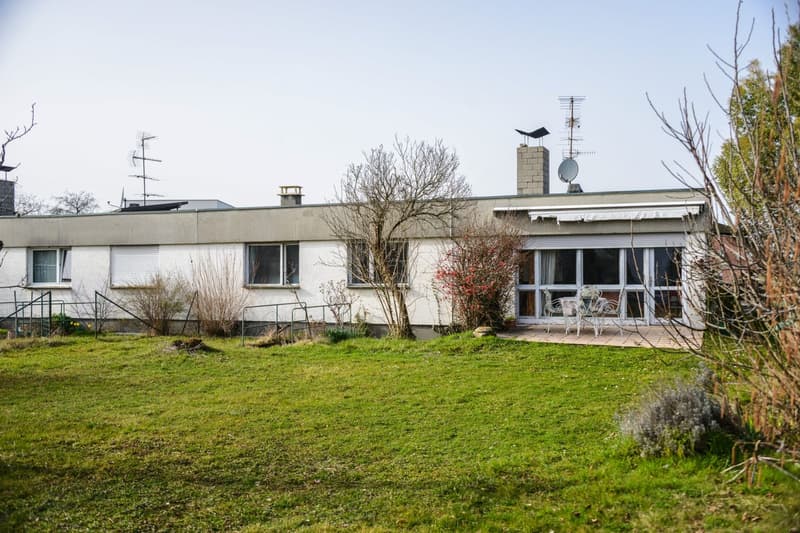 Charmante maison individuelle de 5 pièces à Buschwiller (1)