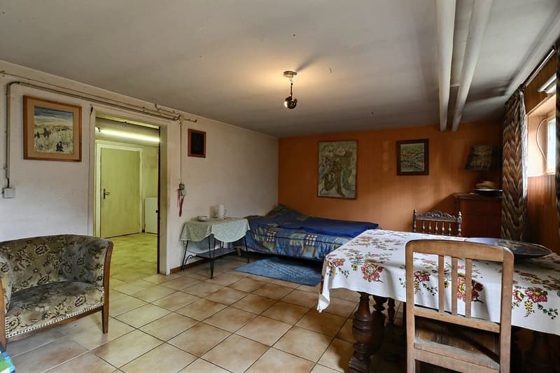 Charmante maison individuelle de 5 pièces à Buschwiller (16)