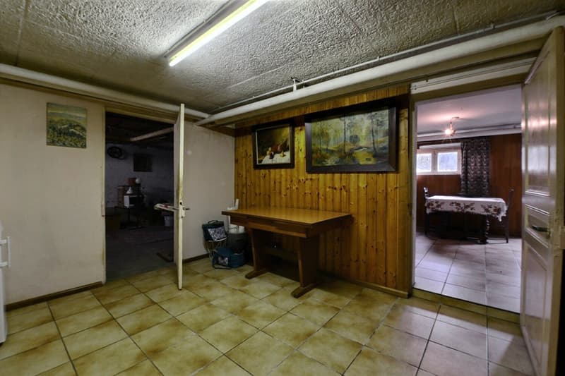 Charmante maison individuelle de 5 pièces à Buschwiller (15)