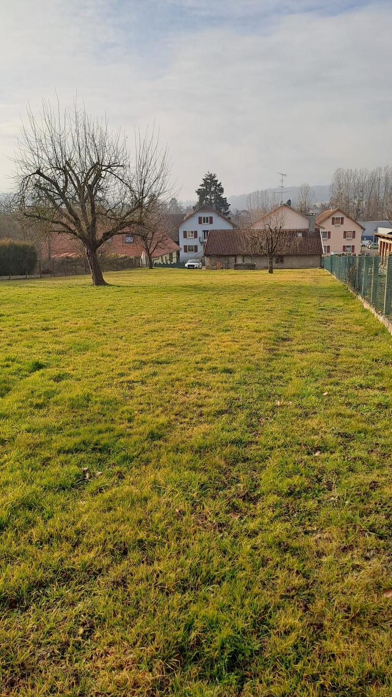 Traditionelles Fachwerkhaus mit 8 Zimmern in Illtal – Elsässischer Charme auf großem Grundstück (26)