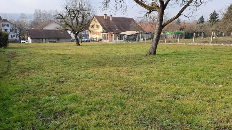 Traditionelles Fachwerkhaus mit 8 Zimmern in Illtal – Elsässischer Charme auf großem Grundstück (25)