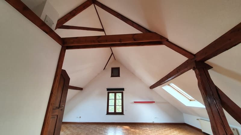 Magnifique maison familiale de 7 pièces à Bartenheim (12)