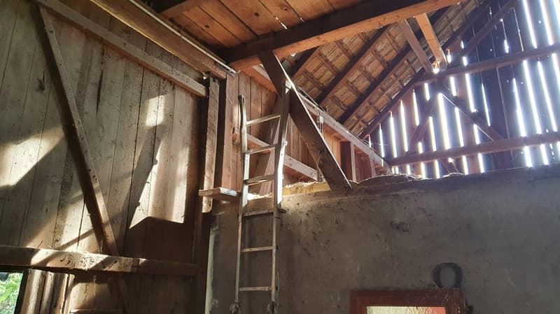 Magnifique maison familiale de 7 pièces à Bartenheim (16)