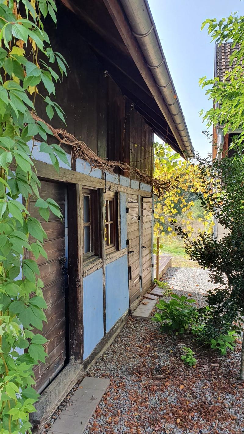 Magnifique maison familiale de 7 pièces à Bartenheim (5)