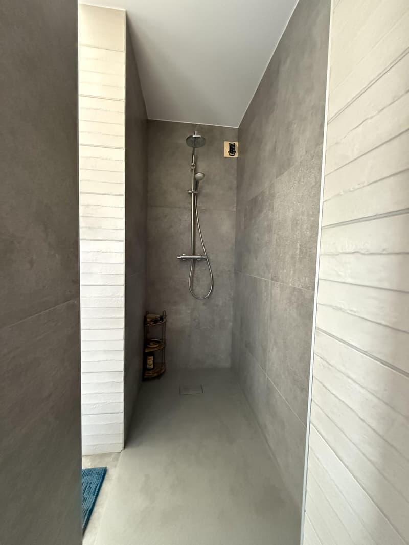 Außergewöhnliches Duplex im Grünen, mit Terrasse und ohne Gegenüber (9)