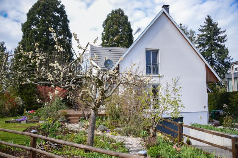EXKLUSIVES EINFAMILIENHAUS AM WALDRAND – RUHE, NATUR & NÄHE ZU BASEL (4)