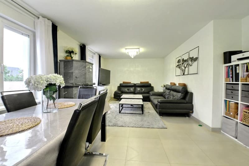 Maison individuelle de 4 pièces à Saint-Louis (68300) (2)