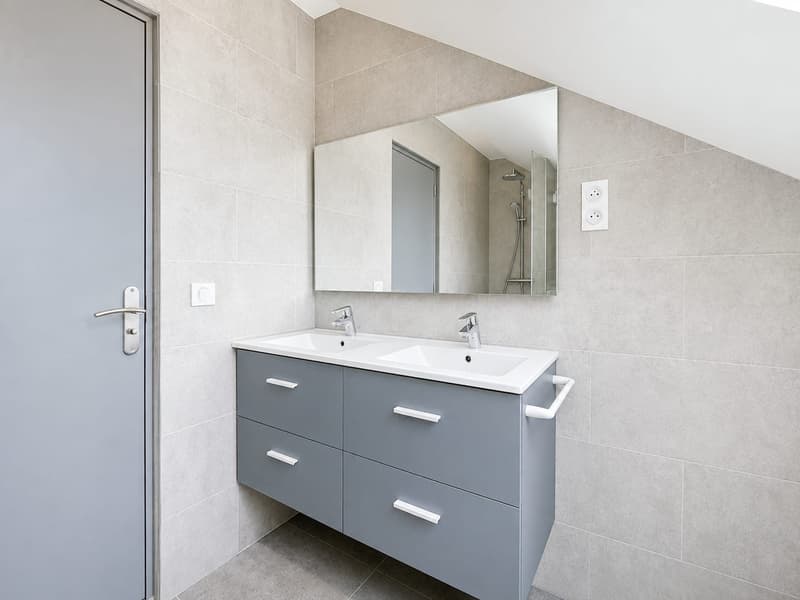 Buschwiller – Bright duplex apartment with terrace, no overlook, green setting (14)