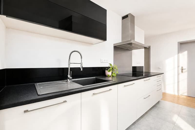 Buschwiller – Bright duplex apartment with terrace, no overlook, green setting (11)