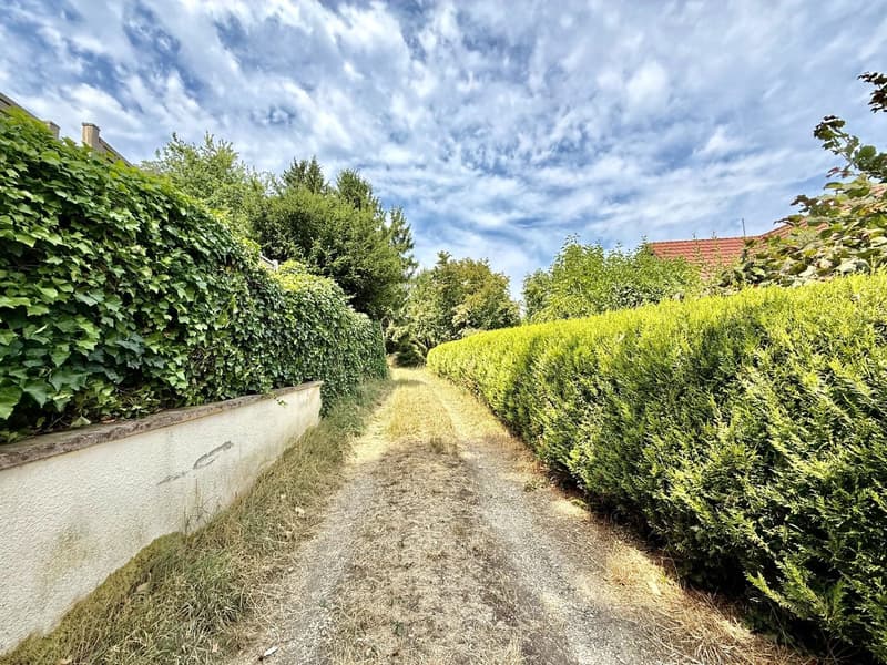 Buschwiller – Bright duplex apartment with terrace, no overlook, green setting (20)