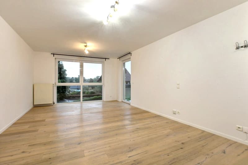 Buschwiller – Bright duplex apartment with terrace, no overlook, green setting (18)