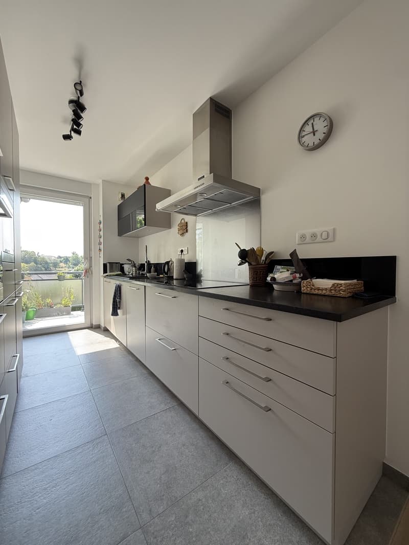 Buschwiller – Bright duplex apartment with terrace, no overlook, green setting (6)