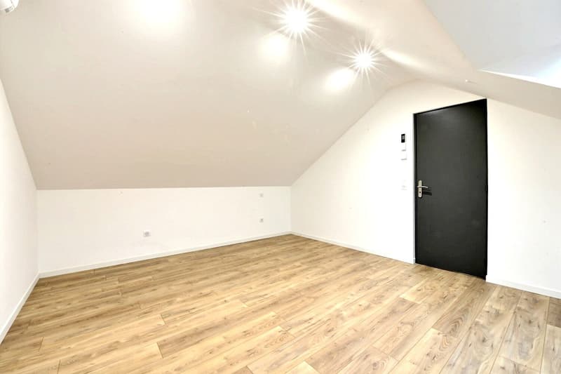 Buschwiller – Bright duplex apartment with terrace, no overlook, green setting (16)
