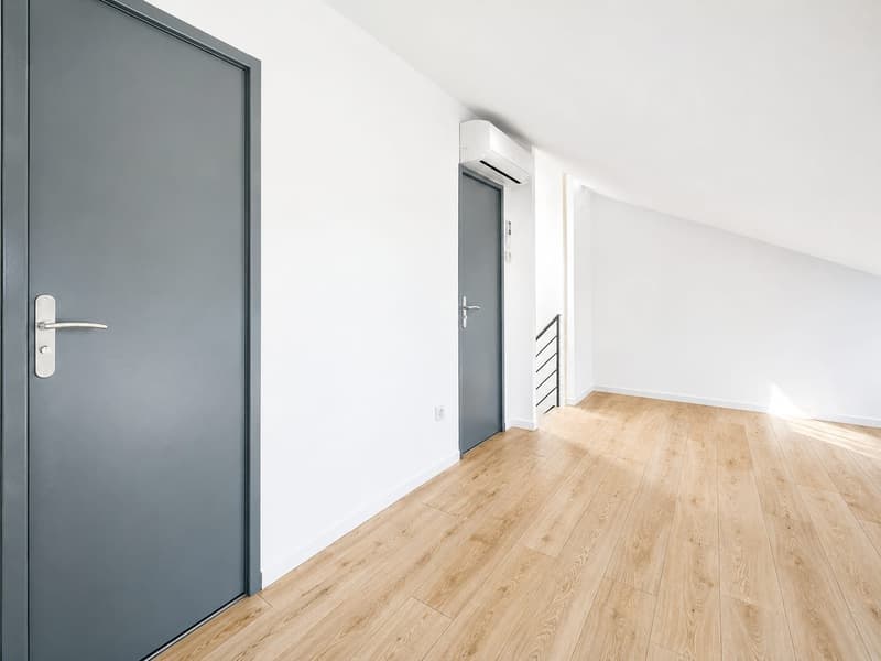 Buschwiller – Bright duplex apartment with terrace, no overlook, green setting (22)