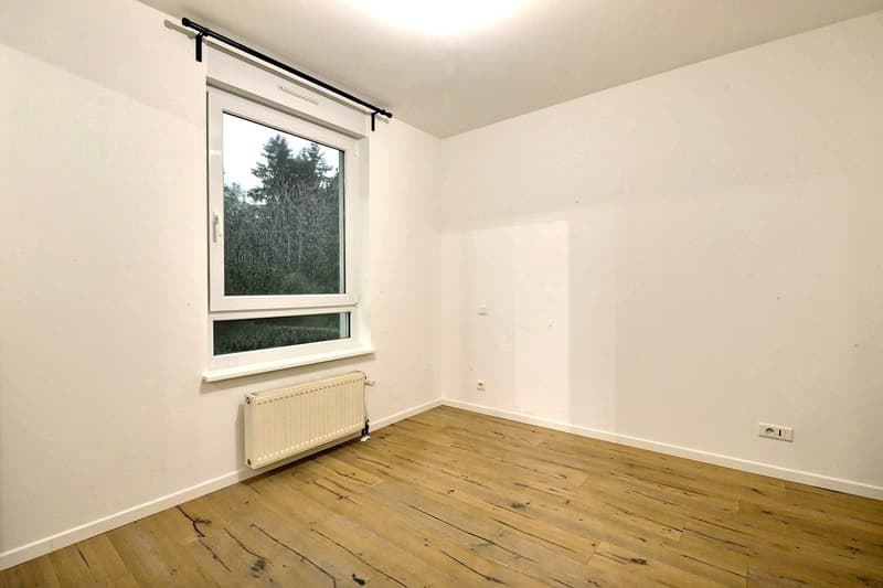 Buschwiller – Bright duplex apartment with terrace, no overlook, green setting (15)