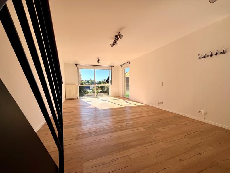 Buschwiller – Bright duplex apartment with terrace, no overlook, green setting (30)