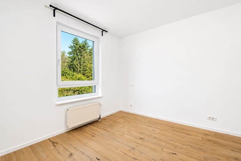Buschwiller – Bright duplex apartment with terrace, no overlook, green setting (19)