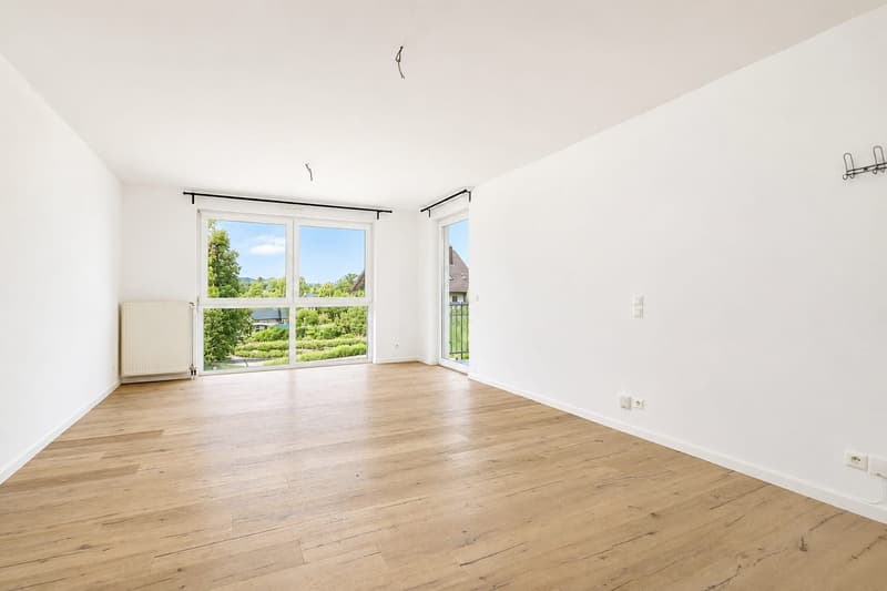Buschwiller – Bright duplex apartment with terrace, no overlook, green setting (7)