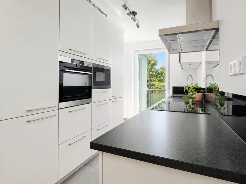 Buschwiller – Bright duplex apartment with terrace, no overlook, green setting (12)
