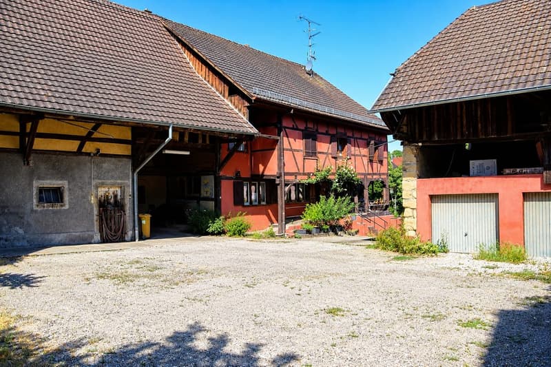 Authentic Alsatian House with Outbuildings and 1,261 m² Plot in the Heart of Hégenheim (15)