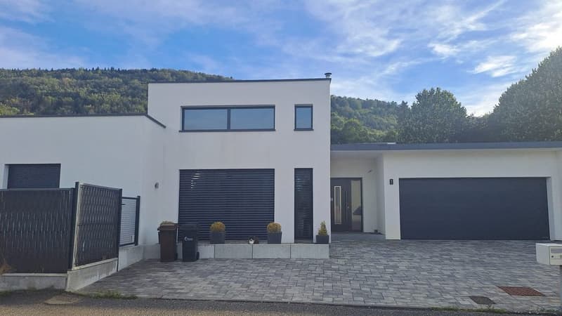 Beautiful Single-Story House with Pool (2)