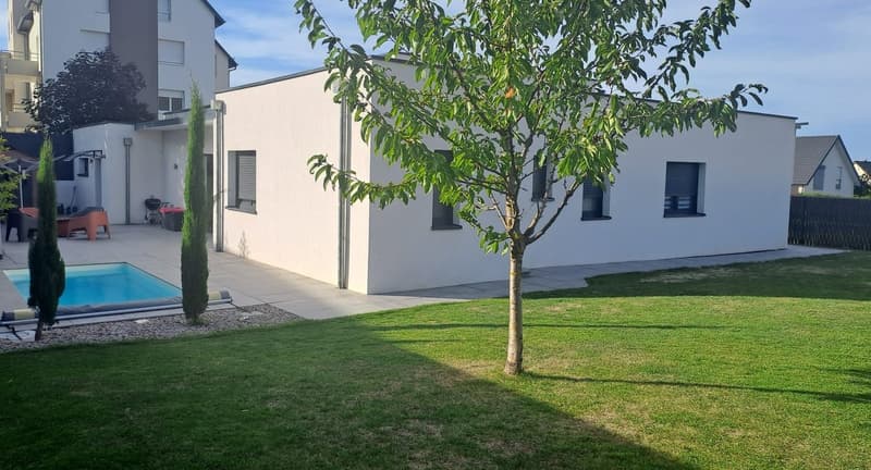 Beautiful Single-Story House with Pool (3)