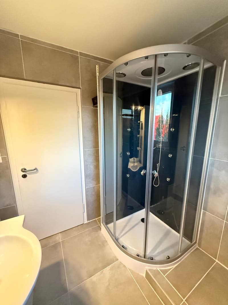 * : Furnished detached house 160 m² – 5 bedrooms – Garden – Garages – Saint-Louis (19)