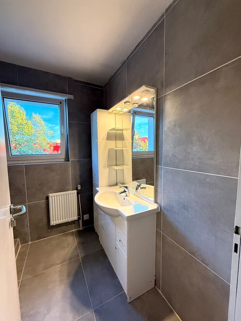 * : Furnished detached house 160 m² – 5 bedrooms – Garden – Garages – Saint-Louis (18)