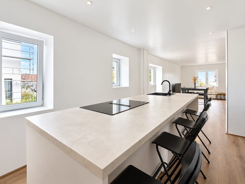 Maison individuelle de 5 pièces à Kembs – À vendre (8)