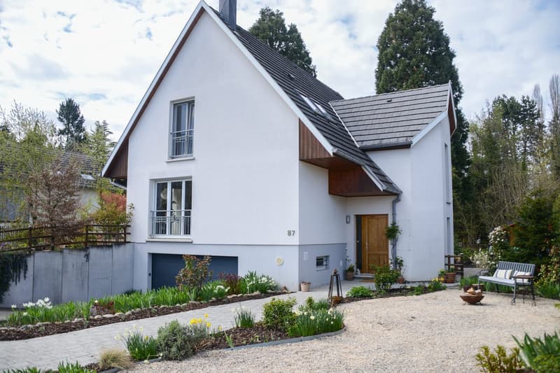 EINFAMILIENHAUS (3)