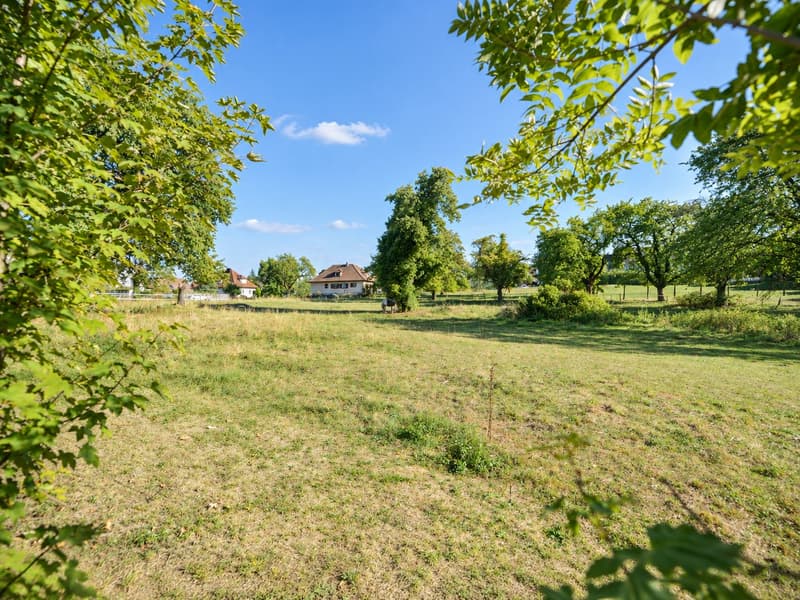 Exceptional villa with lift and indoor pool – 5 minutes from Basel (9)