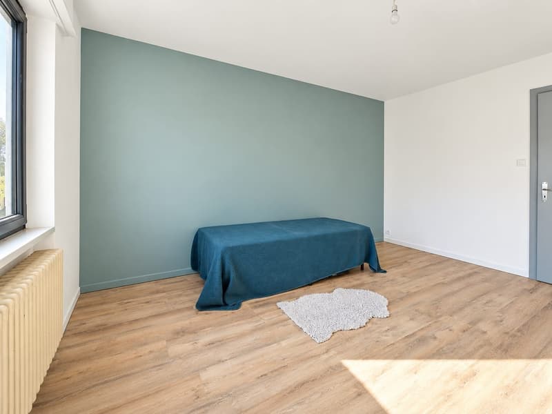 Spacious 5-Bedroom Family Home, 165 m², Full Basement and 3-Car Garage in Sausheim (26)