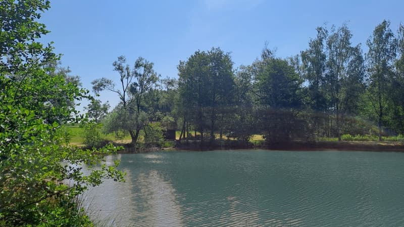 Freizeitgrundstück mit 2 Teichen in Saint-Ulrich (68210) – 10.100 m² (8)