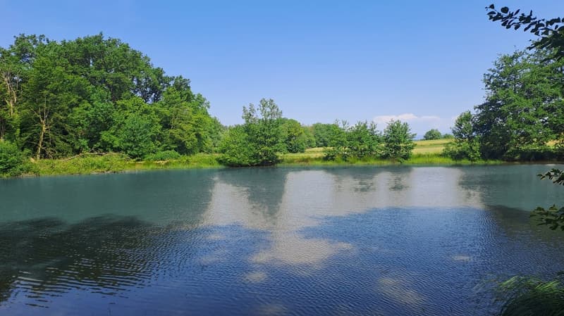 Freizeitgrundstück mit 2 Teichen in Saint-Ulrich (68210) – 10.100 m² (5)