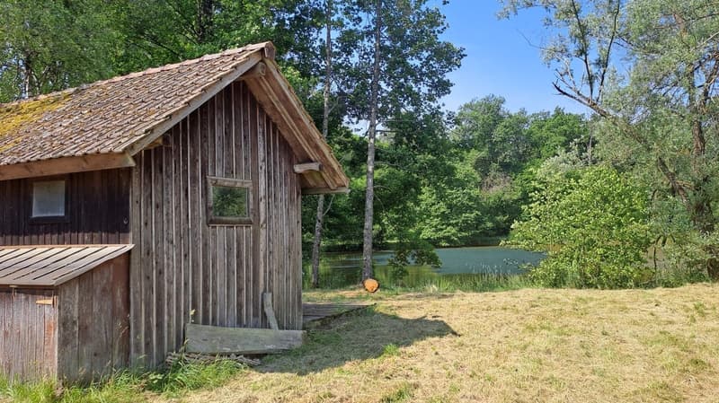 Freizeitgrundstück mit 2 Teichen in Saint-Ulrich (68210) – 10.100 m² (10)