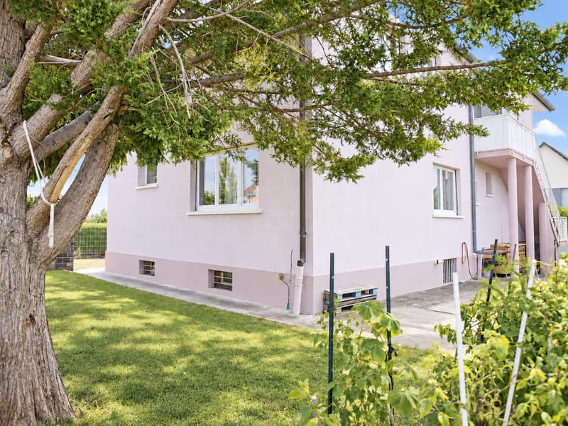 6-Zimmer-Einfamilienhaus in Hésingue Frankreich (9)
