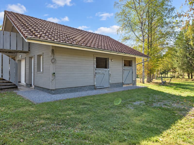 Contemporary 160 m² chalet on 1.56 hectares of land with equestrian facilities (21)