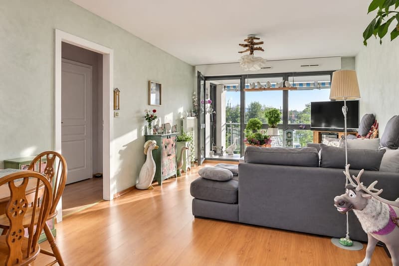 Huningue – Elegant 2-Bedroom Apartment with 2 Terraces, Park Views & 2 Garages (4)