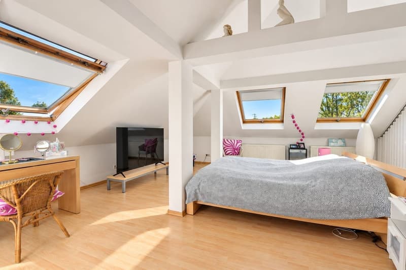 Kembs-Loechlé – Family Home with Swimming Pool and Landscaped 1,098 m² Garden (22)