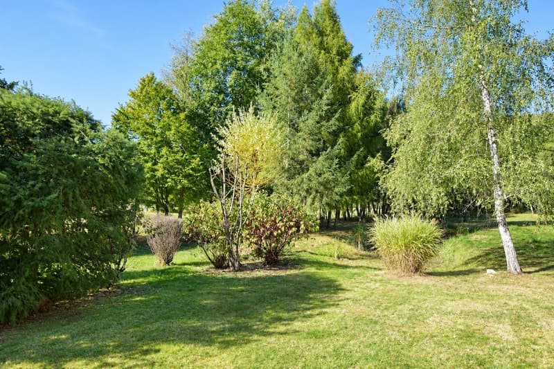 Contemporary 160 m² chalet on 1.56 hectares of land with equestrian facilities (17)