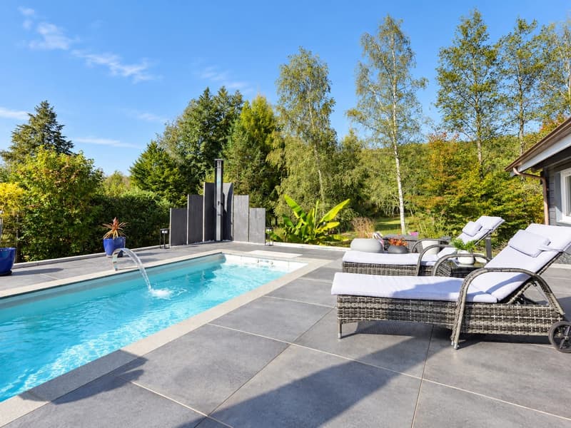 Contemporary 160 m² chalet on 1.56 hectares of land with equestrian facilities (14)