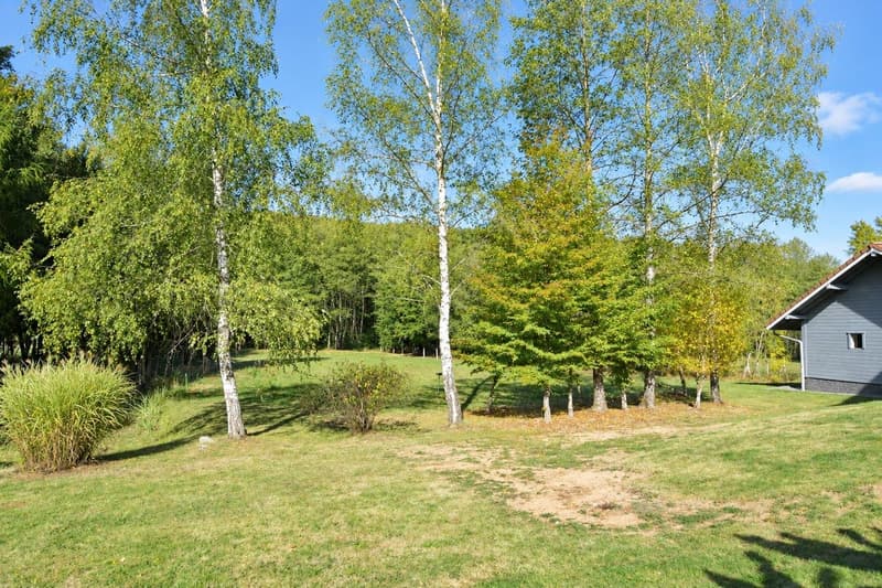 Contemporary 160 m² chalet on 1.56 hectares of land with equestrian facilities (16)