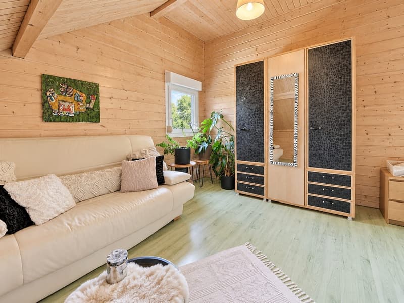 Contemporary 160 m² chalet on 1.56 hectares of land with equestrian facilities (27)